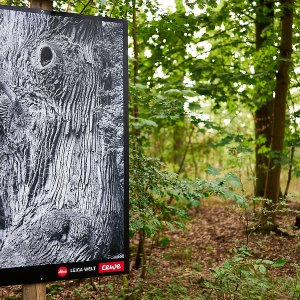  	Norbert Rosing Ausstellung im Leica Wald...... Werner Schuffenhauer